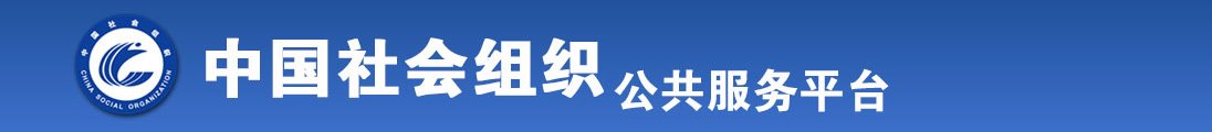 看免费的插逼片全国社会组织信息查询